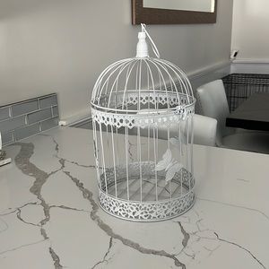Bird cage envelope holder
